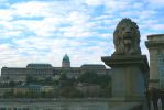PICTURES/Buda - the other side of the Danube/t_Buda Palace from Chain Bridge2.JPG
